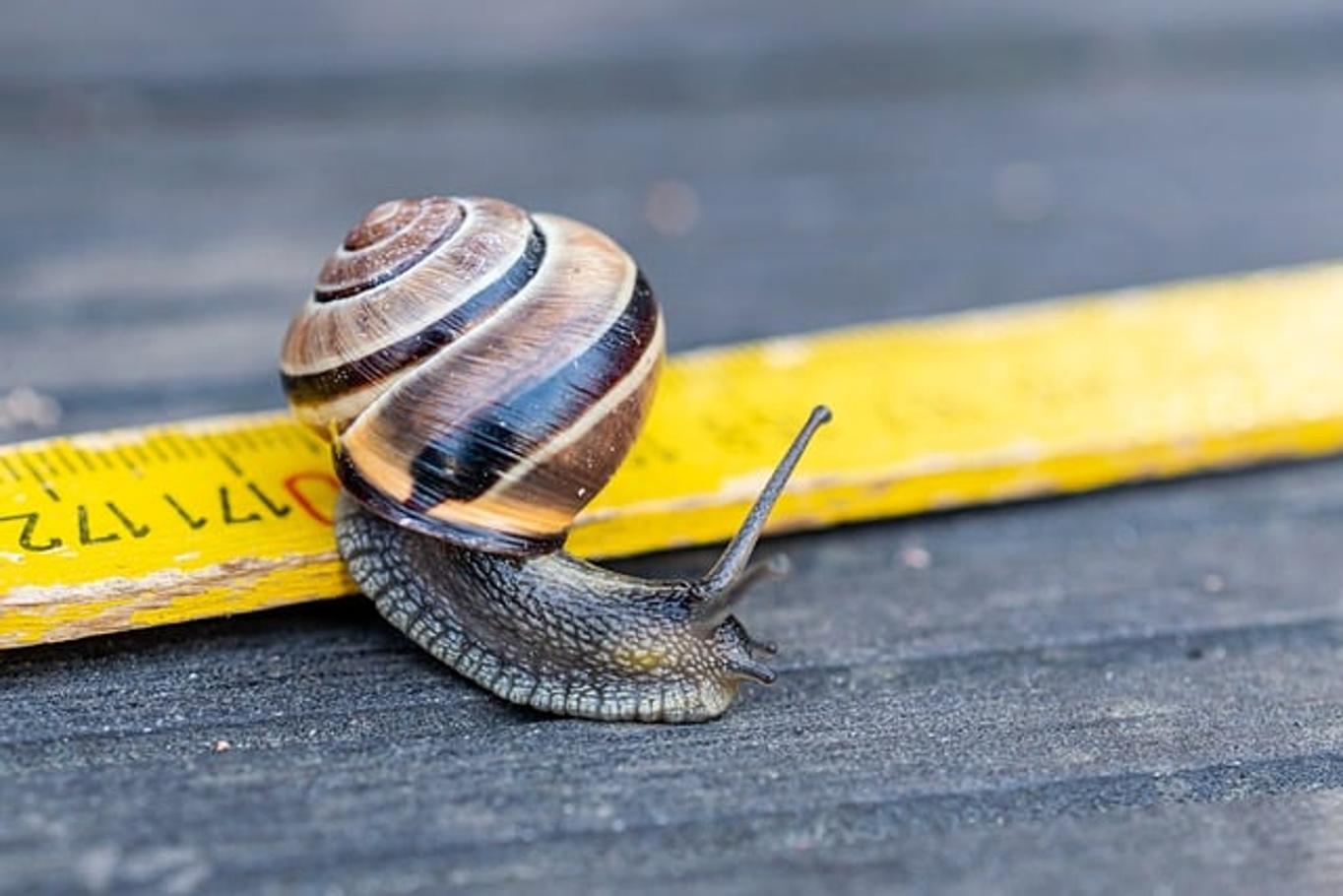 Pourquoi mon ordinateur portable est-il si lent ?